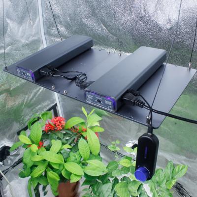 China Button Dimming Full Spectrum Seed Starting, Flower, Led Veg 300W Plant Grow Light For Grow Indoor Plants for sale