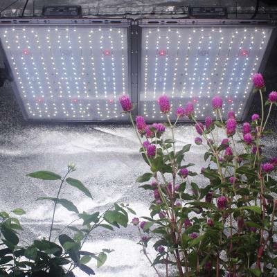 China Welit 400W LED Plant Dimming Button Grow Light Indoor Plant Greenhouse IR UV Dimmable Full Spectrum UV Flowering for sale