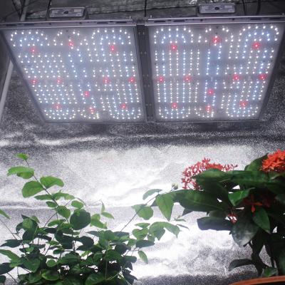 China Welit Flower Dimming Button , Indoor Commercial Veg Hortibloom 500W Full Spectrum Led Grow Light for sale