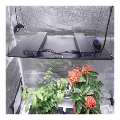 China Button Dimming Medicinal Plant Led Grow Light For Commercial Horticulture Indoor Best Spectrum High Power 500W Led Grow Light Veg and Flower 0-10V for sale