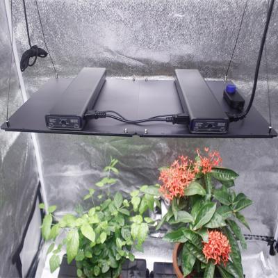 China Button Dimming Waterproof Seed Starting , Flower , Veg 500W Medicinal Plant Led Agriculture Grow Light Board for sale