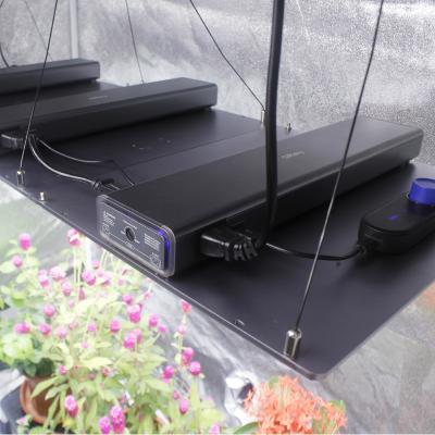 China Button Dimming Professional Led Plant Grow Lights Indoor Garden Green House Plant Growing Lighting 600W High Efficient Design 2.6 and Circuitry for sale