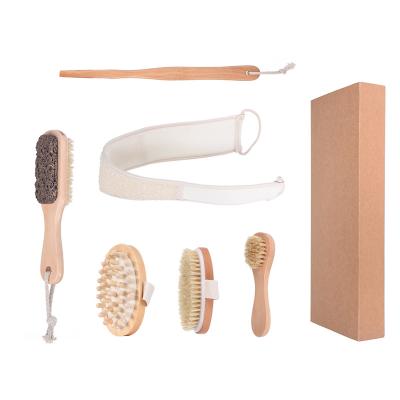 China All Natural Hot 6pcs Set Eco-Friendly Natural Boar Bristle Eco-Friendly Natural Boar Bristle Long Handle Detachable Massage Bath Brush Body Care Brush Design for sale