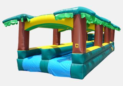 China inflatable tropical slide, Hot Playing Durable Special Inflatable Slip Slide for sale