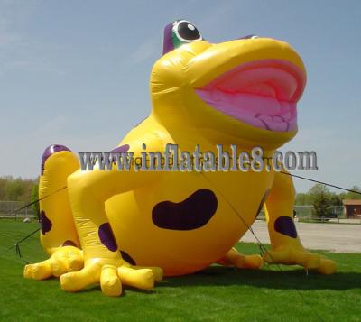 China Advertising Inflatable Model with frog animal model for sale