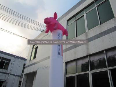 China Advertising Inflatable Model with pig air dancer model for sale