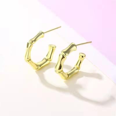 China 2021 other women's ear fashion personalized design sense jewelry trend twist earrings female for sale