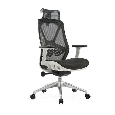 China Factory direct sales chair for gaming mesh office chair home office chair for the sduty room en venta