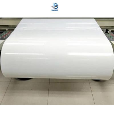 China Exhibition Matt Pet Film /Matte Polyester Film for Food and Exhibition for sale