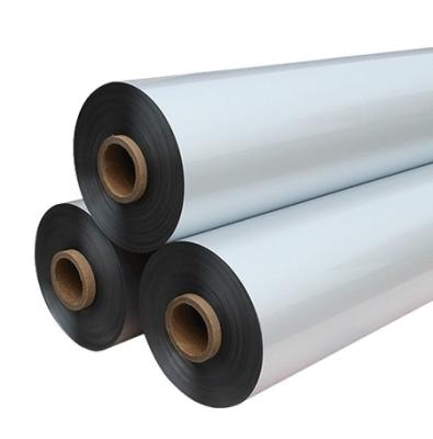 China Corona Treated Pet PE Laminated Film for Moisture Protection Flexible Packaging for sale