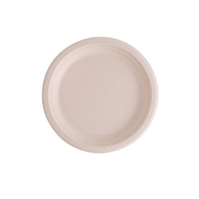 China Simple modern hotsale 2022 sugar cane bagasse pulp eco friendly biodegradable plate for sale