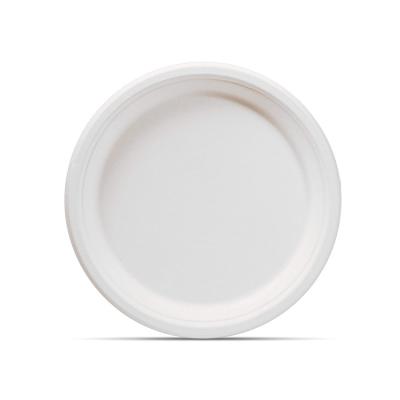 China Simple Modern Cheap Disposable Bagasse Disposable Eco Friendly Sugar Cane 9inch Compostable Biodegradable Paper Plates for sale