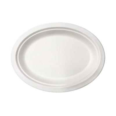 China Simple Modern Compostable Sugar Cane Pulp Bagasse Oval Dish Biodegradable for sale