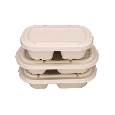 China Recycled Materials Eco Compostable Clamshell Take Away Disposable Food Containers 2 Compartment Lunch Box For Kids for sale