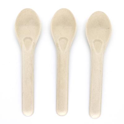 China Natural Biodegradable Compostable Sugar Cane Disposable Spoon 6 Inch 159x35mm Sugar Cane Cutlery 159mm Length Disposable Spoon for sale