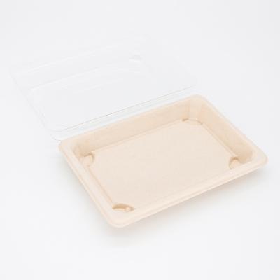 China Simple Modern Customizable Sushi Disposable Disposable Dishes Of Greaseproof And Waterproof Eco-Friendly Compostable Bagasse for sale