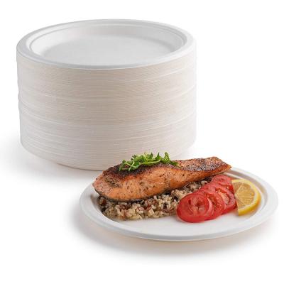 China Simple Modern Disposable Tableware For Restaurant Biodegradable Sugarcane Bagasse Pulp Dishes for sale