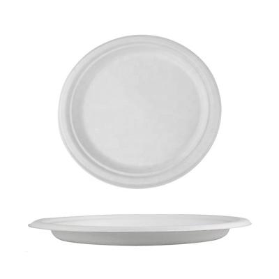 China Simple Modern Home Compostable Bagasse Dinnerware 9inch Dinner Dishes For Party for sale