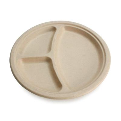 China Simple modern 100% compostable and biodegradable, 9 10