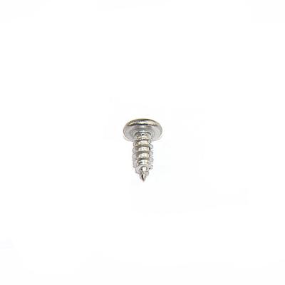 China Pan SS 304 Material Stainless Steel Pan Screw for sale