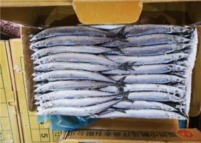 China IQF Cololabis Saira Bulk 130g 140g 150g Sea Frozen Pacific Saury for sale