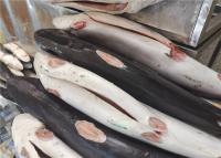 China Gutted Cut 10kg Frozen Blue Shark Steak For Restaurant for sale