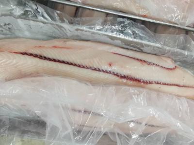 Cina osso di congelamento di Marlin congelato HGT dei frutti di mare del pesce IQF della vela 2kg in vendita