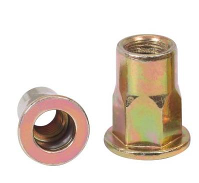 China Heavy industry flat head half hexagon rivet nut directly sold by the manufacturer a fastener for sale