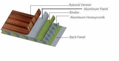 China BIENENWABEN-Sandwich-Platte ALMg3 20mm Aluminium zu verkaufen