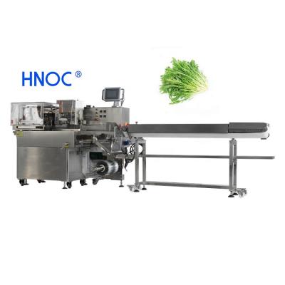 China HNOC Automatic Food Vegetable Flow Packing Machine Vegetable And Fruit Packing Machine for sale