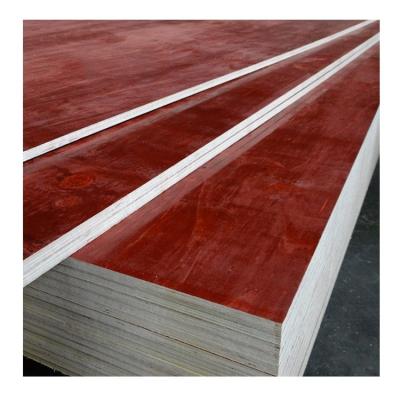 China Hot Sale 12 15 16 18mm High Turnover Film Faced Plywood Timber Panel for sale