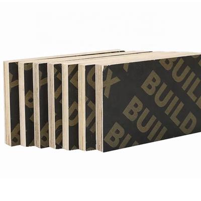 China Industrial Film Faced Construction Timber Plywood Sheet Panel Laminate Eucalyptus Pine Eucalyptus Timber Panels Formwork Shuttering Wood for sale