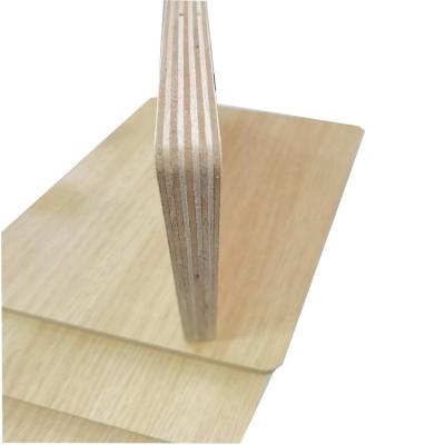 China Modern waterproof commercial eucalyptus pine plywood board plywood building wood furniture ply wood floor rotproof construction timber for sale