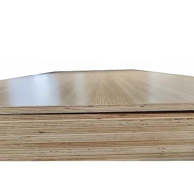 China Modern Wooden Waterproof Rust Proof Panel Plywood Furniture Plywood Eucalyptus Board Sheet Insect Prevention Ply Rotproof Wood for sale