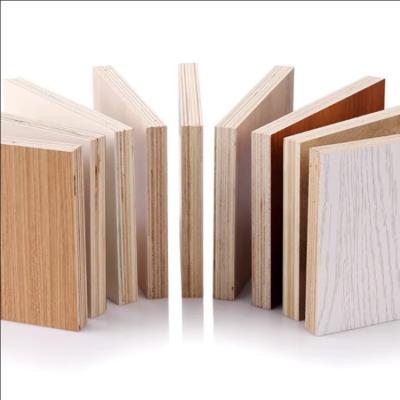 China Modern Indoor Outdoor Commercial Plywood Sheet Hotel Building Offices Panel Wood Formwork 18mm for sale