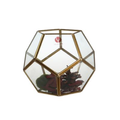 China 2020 Glass Factory Wholesale Copper Mini Greenhouse Contempory 2020 Mini Greenhouse Rose Gold Vases Clear Geometric for sale