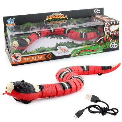 China Viable The Best Selling Smelling Snake Cat Toys Automatic Smart Snake Pet Toy for sale