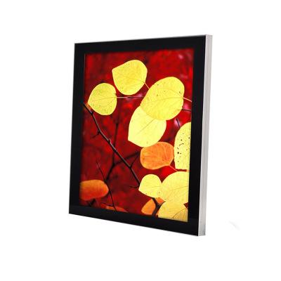 China Super Slim Aluminum Frame Frame Led Flash Light Box for sale