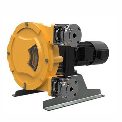 China NUODEAN Automotive Industry Hose Peristaltic Pump for sale