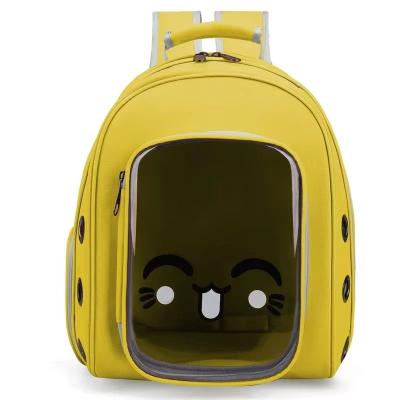 China Privacy Viable Portable Handle Capsule Space Adjustable Pet Carrier Cat Travel Cat Bag for sale