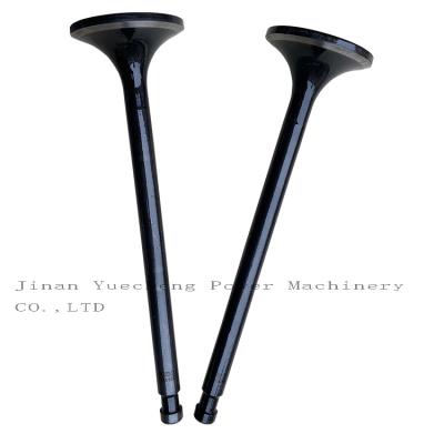 China Dongying 600gf gas generator Shengli oilfield shenlgi power machinery 12V190 500GF 600GF w12v190 .03.01/02 ZHWJ ZHWP intake and exhaust valve for sale