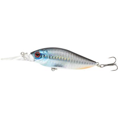 China ABS Minnow Fishing Lure 105mm Groundbait 13g Wobbler Hard Carp Striped Bass Fishing Tackle for sale