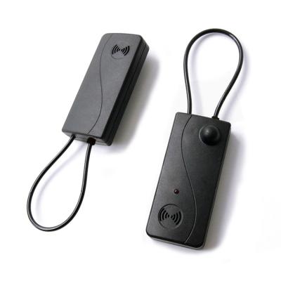 China ABS Plastic Supermarket EAS Self Alarm Hang Tag AM&RFID Burglar Alarm Security System for Retail Store for sale