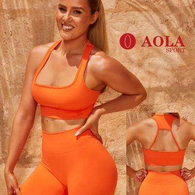 China AOLA 2021 New Gym Activewear Yoga Women Seamless Fitness Wear Breathable Wholesale Running Workout Clothing for sale