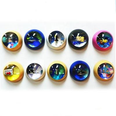 China Animal Acrylic Souvenir Customized Fridge Magnet Aquarium Decoration Liquid Water Oil Float Magnetic Fridge Magnet for sale