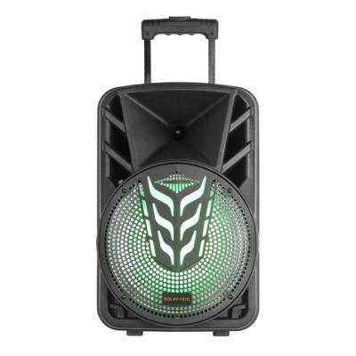 China Woofer With RGB Light Speaker Type Newest Trolley Private Model Speaker With KOLAV-121C Battery for sale