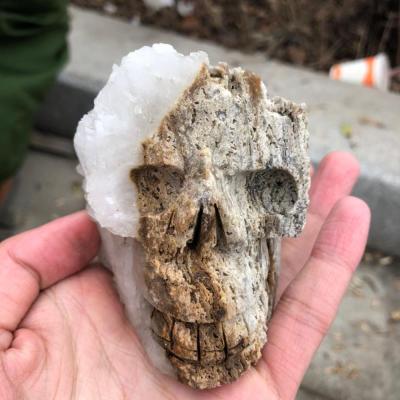 China China Wholesale White Quartz Crystal Cluster Skulls Hand Carved Natural Stone Skulls for Decoration or Sale for sale