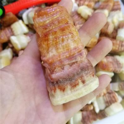 China High Quality Natural Europe Lump Hog Quartz Stone Specimen for sale