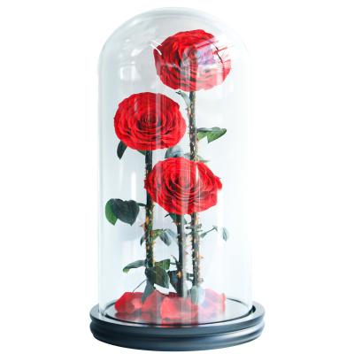 China Chirstmas Scenery Beauty and the Beast Rose in Glass Love Rose Glass Tube Preserved Rose for sale