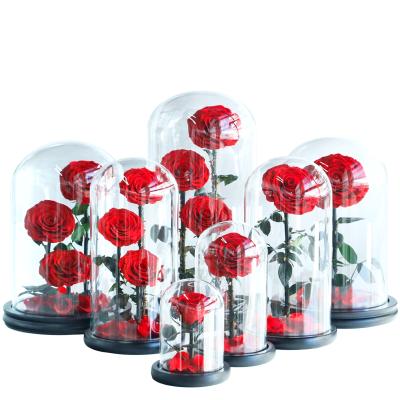 China Classic Beauty And The Beast Rose Valentine's Day Gift Preserved Glass Eternal Flowers for sale